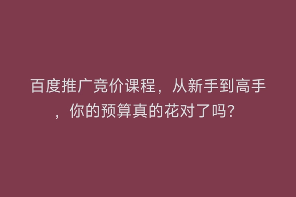 百度推广竞价课程,从新手到高手,你的预算真的花对了吗?