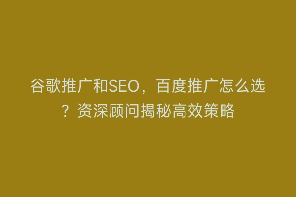 谷歌推广和SEO，百度推广怎么选？资深顾问揭秘高效策略
