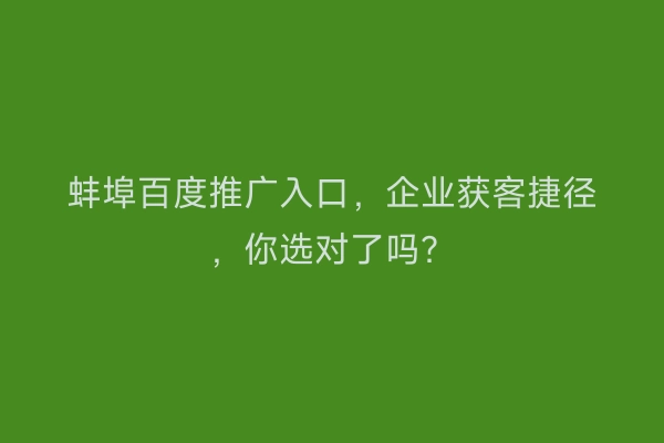 蚌埠百度推广入口,企业获客捷径,你选对了吗?
