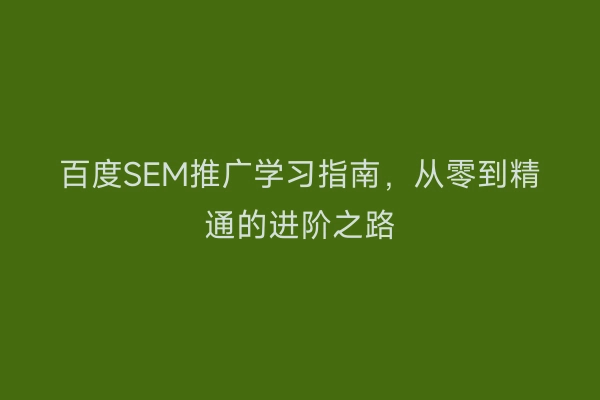 百度SEM推广学习指南，从零到精通的进阶之路