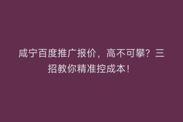 咸宁百度推广报价，高不可攀？三招教你精准控成本！