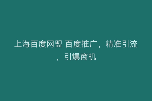 上海百度网盟 百度推广，精准引流，引爆商机