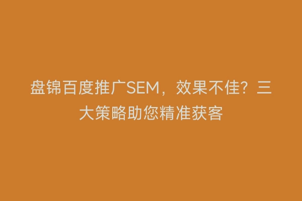 盘锦百度推广SEM，效果不佳？三大策略助您精准获客