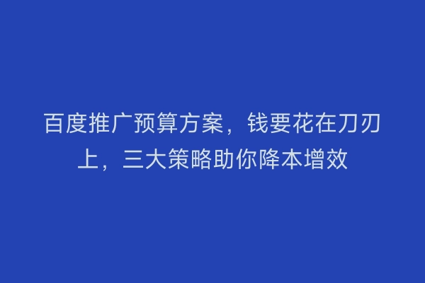 百度推广预算方案,钱要花在刀刃上,三大策略助你降本增效