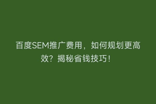 百度SEM推广费用,如何规划更高效?揭秘省钱技巧!