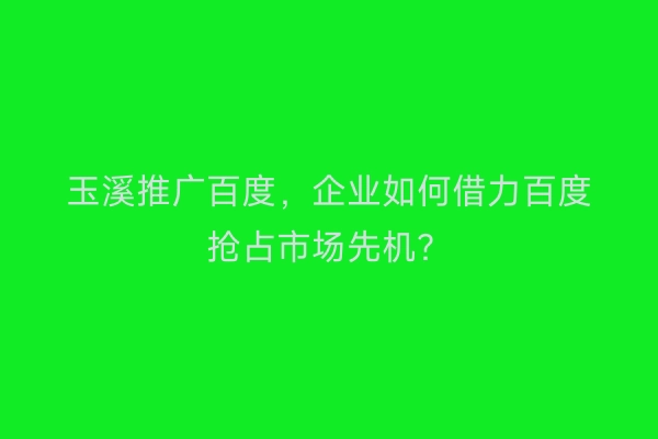 玉溪推广百度,企业如何借力百度抢占市场先机?