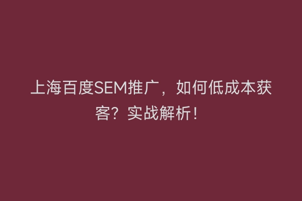 上海百度SEM推广，如何低成本获客？实战解析！