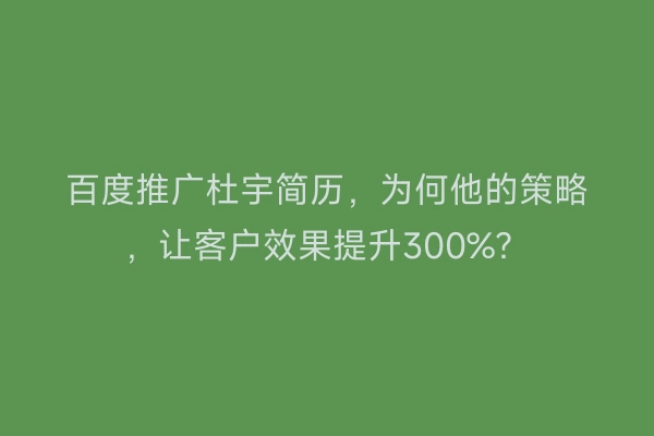 百度推广杜宇简历，为何他的策略，让客户效果提升300%？