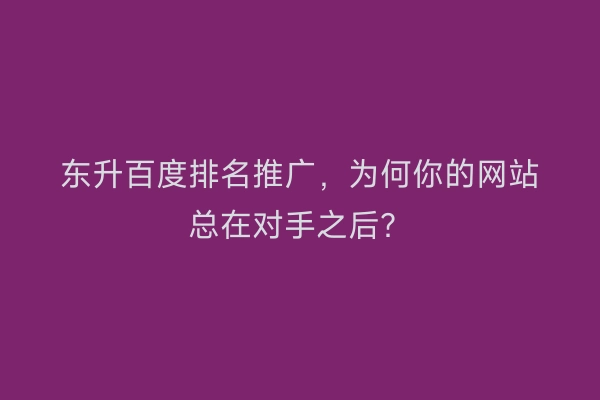 东升百度排名推广,为何你的网站总在对手之后?