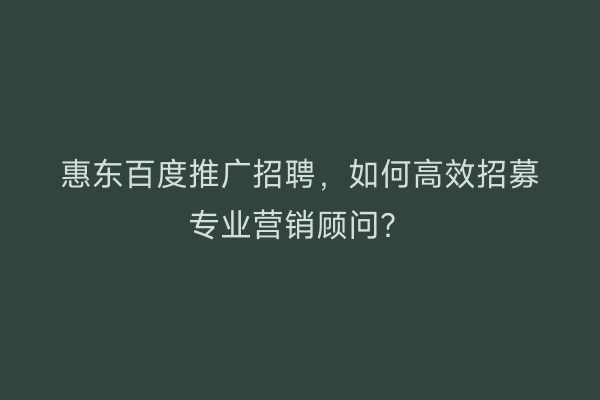 惠东百度推广招聘,如何高效招募专业营销顾问?