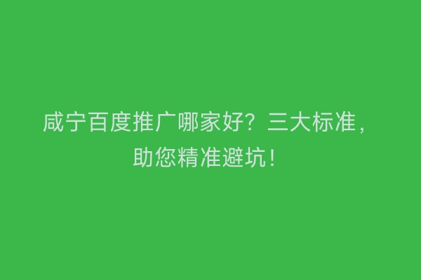 咸宁百度推广哪家好？三大标准，助您精准避坑！