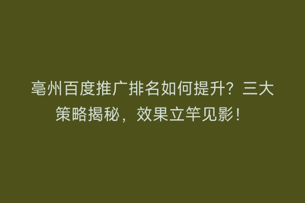 亳州百度推广排名如何提升？三大策略揭秘，效果立竿见影！