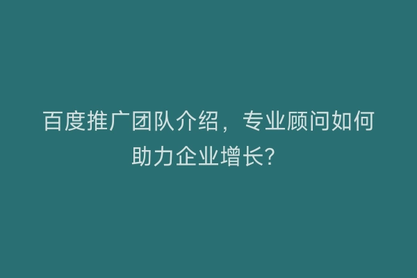 百度推广团队介绍，专业顾问如何助力企业增长？