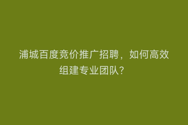 浦城百度竞价推广招聘，如何高效组建专业团队？