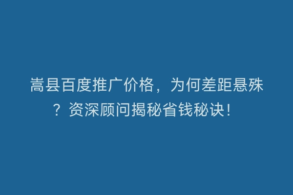 嵩县百度推广价格，为何差距悬殊？资深顾问揭秘省钱秘诀！
