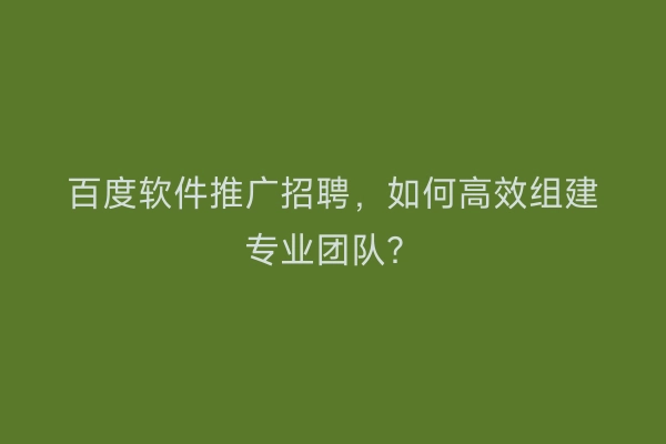 百度软件推广招聘,如何高效组建专业团队?