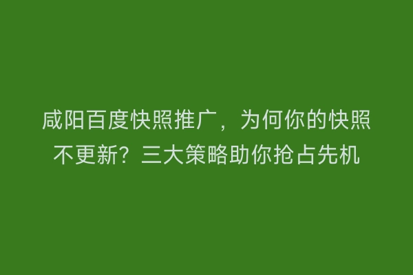 咸阳百度快照推广，为何你的快照不更新？三大策略助你抢占先机
