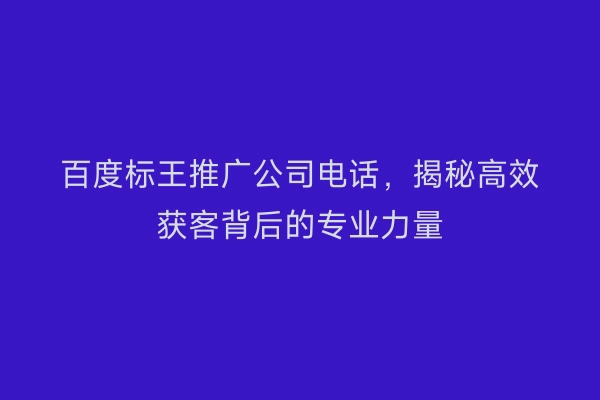 百度标王推广公司电话，揭秘高效获客背后的专业力量
