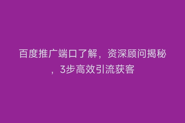 百度推广端口了解,资深顾问揭秘,3步高效引流获客