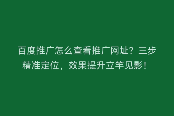 百度推广怎么查看推广网址？三步精准定位，效果提升立竿见影！