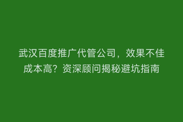 武汉百度推广代管公司，效果不佳成本高？资深顾问揭秘避坑指南