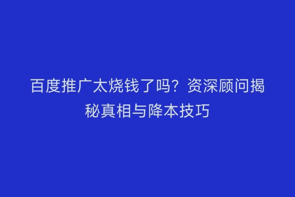 百度推广太烧钱了吗？资深顾问揭秘真相与降本技巧