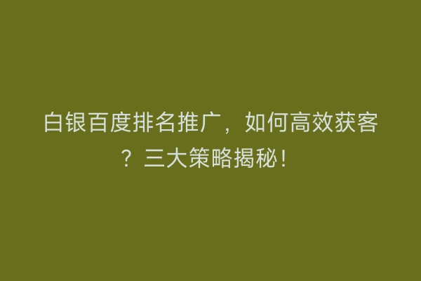 白银百度排名推广，如何高效获客？三大策略揭秘！