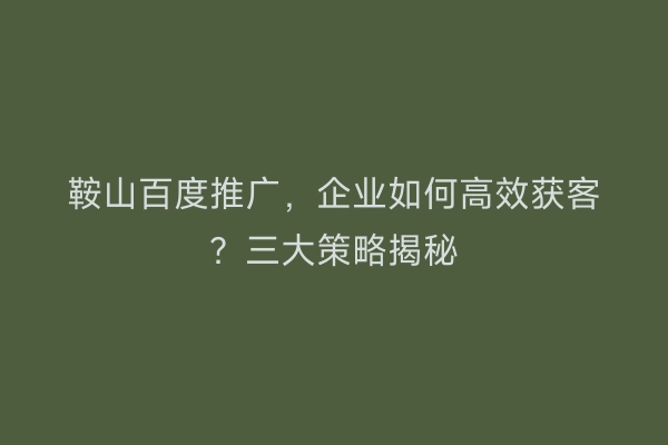 鞍山百度推广，企业如何高效获客？三大策略揭秘