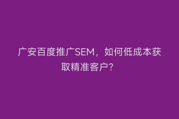 广安百度推广SEM，如何低成本获取精准客户？