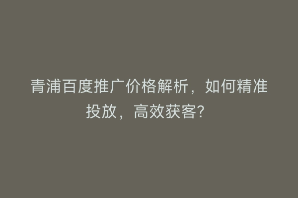 青浦百度推广价格解析，如何精准投放，高效获客？