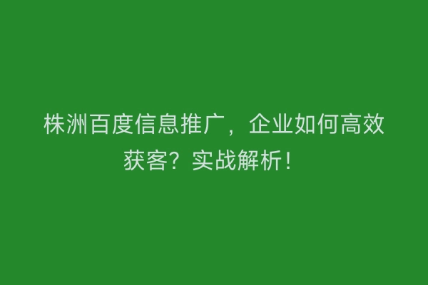 株洲百度信息推广,企业如何高效获客?实战解析!