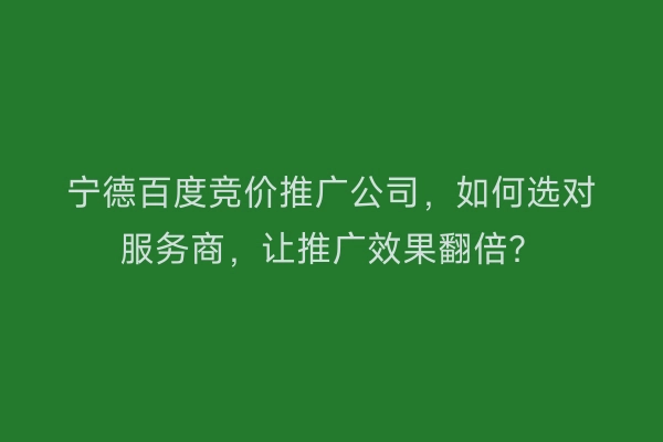 宁德百度竞价推广公司，如何选对服务商，让推广效果翻倍？
