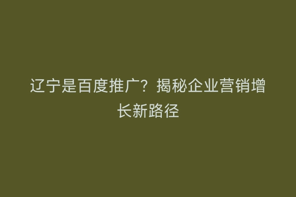 辽宁是百度推广？揭秘企业营销增长新路径