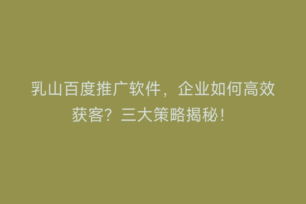乳山百度推广软件，企业如何高效获客？三大策略揭秘！