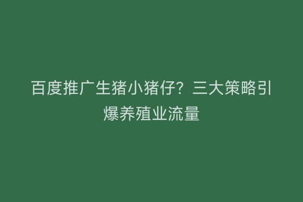 百度推广生猪小猪仔？三大策略引爆养殖业流量
