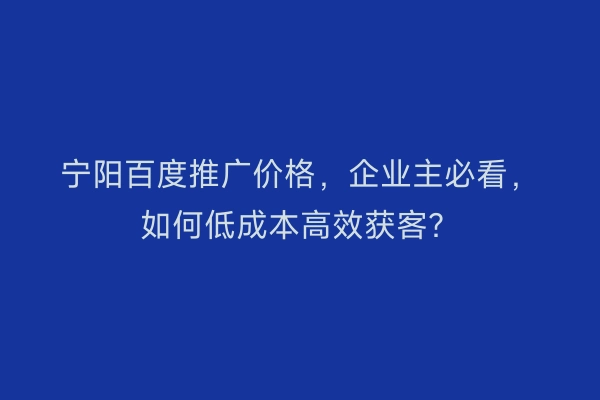 宁阳百度推广价格，企业主必看，如何低成本高效获客？