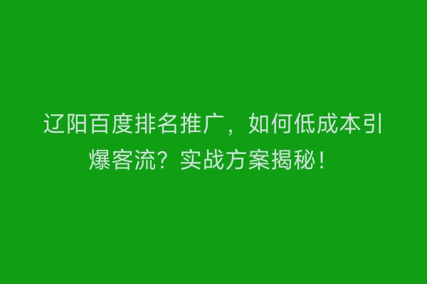 辽阳百度排名推广，如何低成本引爆客流？实战方案揭秘！