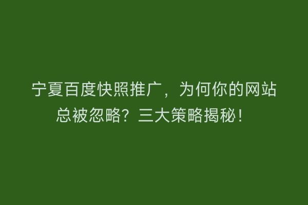 宁夏百度快照推广，为何你的网站总被忽略？三大策略揭秘！