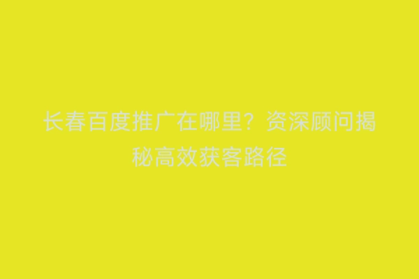 长春百度推广在哪里？资深顾问揭秘高效获客路径