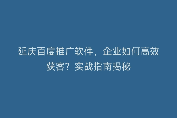 延庆百度推广软件，企业如何高效获客？实战指南揭秘