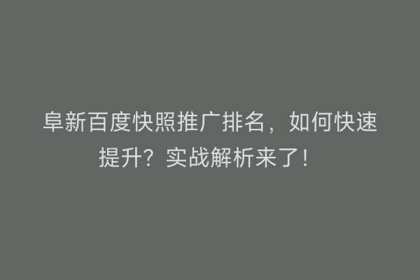 阜新百度快照推广排名，如何快速提升？实战解析来了！