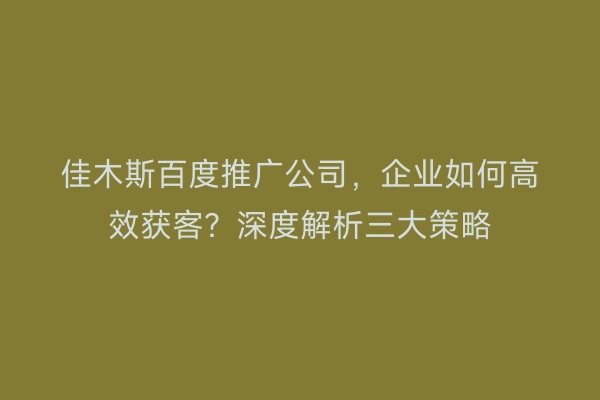 佳木斯百度推广公司，企业如何高效获客？深度解析三大策略