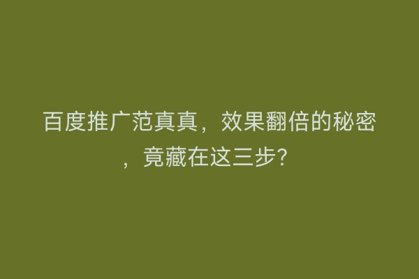 百度推广范真真，效果翻倍的秘密，竟藏在这三步？