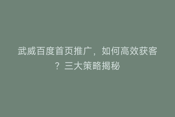 武威百度首页推广，如何高效获客？三大策略揭秘