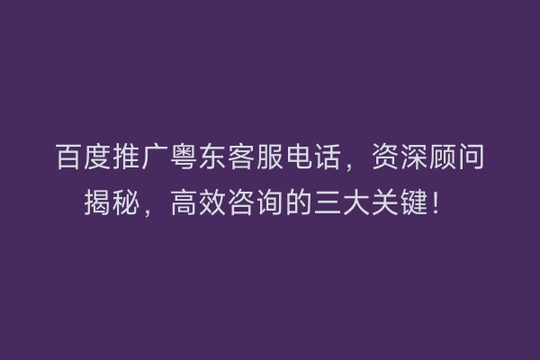 百度推广粤东客服电话，资深顾问揭秘，高效咨询的三大关键！