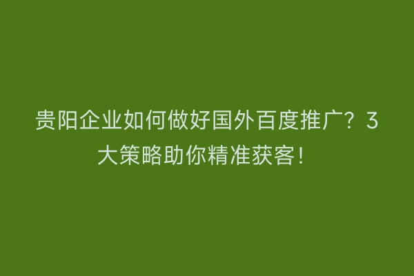 贵阳企业如何做好国外百度推广？3大策略助你精准获客！