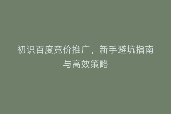 初识百度竞价推广，新手避坑指南与高效策略