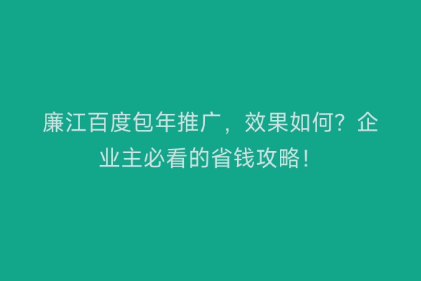 廉江百度包年推广，效果如何？企业主必看的省钱攻略！