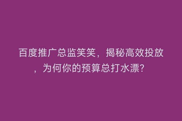 百度推广总监笑笑，揭秘高效投放，为何你的预算总打水漂？