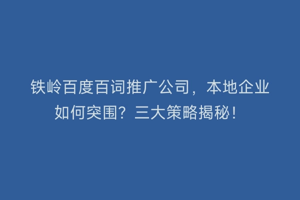 铁岭百度百词推广公司，本地企业如何突围？三大策略揭秘！